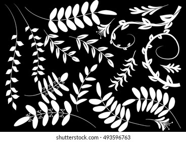 vector leaf set