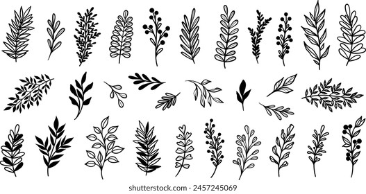 Vector leaf set, hand drawn leaves, plant doodles isolated collection