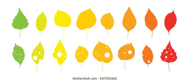 Vector Leaf Silhouettes in Trendy Colors Isolated on White Background. Set of Red, Aspen Gold and Turmeric Yellow Autumn Eaten by Pests Leave Isolated
