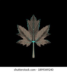 vector leaf with simple concept for design purposes.