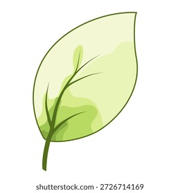 Una hoja de Vector con tonos verdes suaves sobre un fondo blanco. La hoja está dibujada en un estilo orgánico moderno, con líneas suaves y una forma natural. Adecuado para colecciones temáticas relacionadas con la naturaleza, la botánica