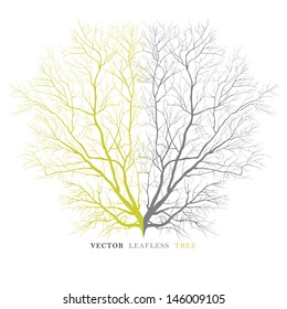 vector leafless tree