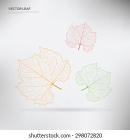 Vector leafs. Colorful illustration