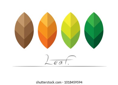Vector of leaf's life in flat design fresh to dry natural concept illustration