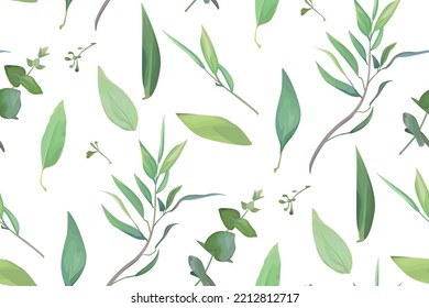 Vector, leafy seamless pattern. Leaf, leaves, green eucalyptus branch textile fabric, texture background. Watercolor twig, seeds, leaf. Sage, greenery decorative paper print. Isolated white background