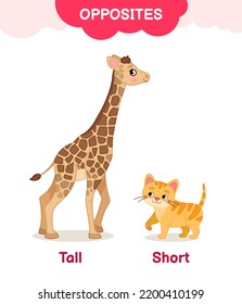 Vector learning material for kids opposites tall short. Cartoon illustrations of cute giraffe and kitten.