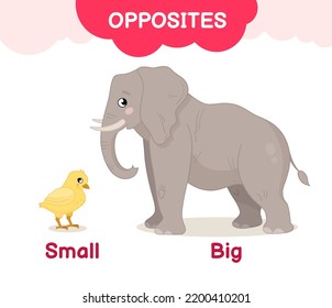 Big and Small 