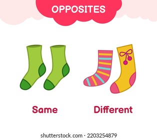 Vector learning material for kids opposites same different. Cartoon illustrations of same and different socks.

