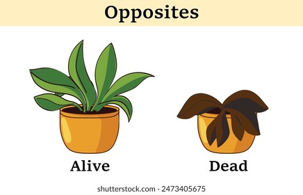 Material de aprendizaje de Vector para niños opuestos vivos y muertos. Ilustración de dibujos animados que muestra planta viva y muerta. Tarjetas de palabras opuestas de aprendizaje temprano para niños.