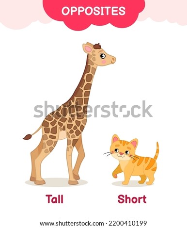Vector learning material for kids opposites tall short. Cartoon illustrations of cute giraffe and kitten.