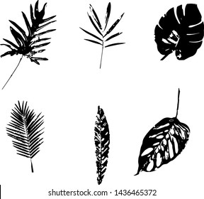 vector leaster set black. tropic.
