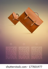 vector leather bags illustration