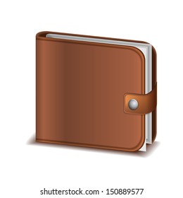 Vector leather wallet with money