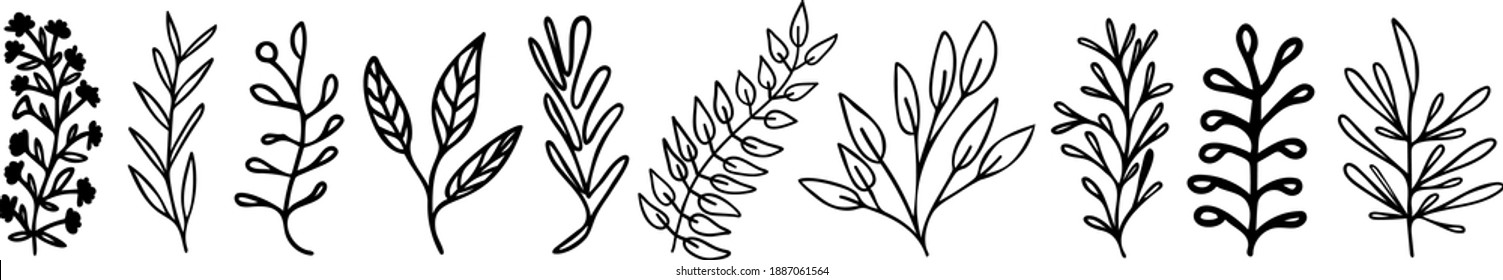 Vector leave and plant set.