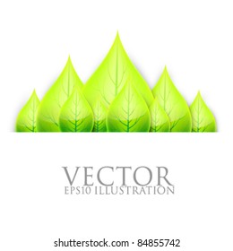 vector leaves