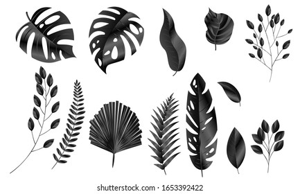 Vector leaves black set Design banner Spring background. Vector illustration template.