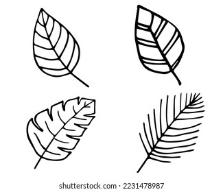hojas de vector dibujo en blanco y negro a mano