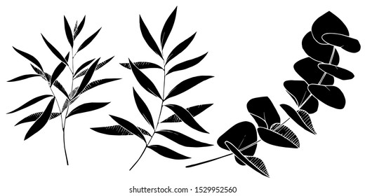 Vector Leaves branch. Exotic tropical hawaiian summer. Leaf plant botanical floral foliage. Black and white engraved ink art. Isolated branches illustration element.