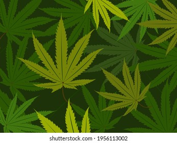 vector deja el fondo de cannabis verde ilustración