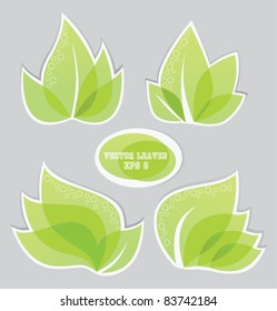 vector leaves collection