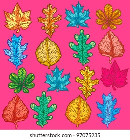 vector leaves collection