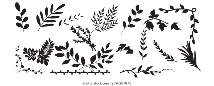 Vector leaves collection.Branches sketch set. Hand drawn graphic plants. Vector illustration of different branches and leaves isolated on white background