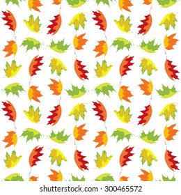 Vector leaves. Colorful maple leaves on white background, seamless vector pattern