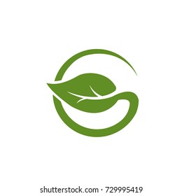 Vector Leaves Concept Art Serial 5 4 Logo