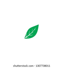 Vector leaves concept. leaves Icons art image. Simple leaves isolated on white background. Flat Logo leaves Vector illustration EPS10. Logo of green leaf ecology nature element vector icon sign symbol