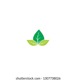 Vector leaves concept. leaves Icons art image. Simple leaves isolated on white background. Flat Logo leaves Vector illustration EPS10. Logo of green leaf ecology nature element vector icon sign symbol