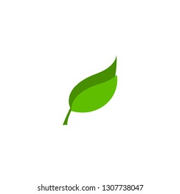 Vector leaves concept. leaves Icons art image. Simple leaves isolated on white background. Flat Logo leaves Vector illustration EPS10. Logo of green leaf ecology nature element vector icon sign symbol