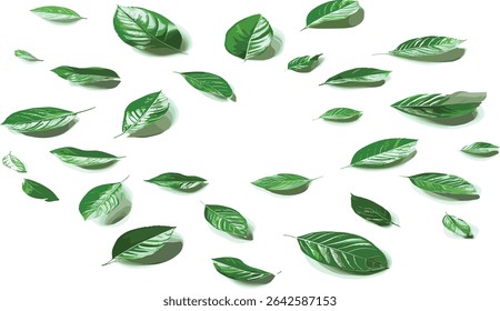 Vector Leaves flying foliage on transparent backgrounds, purified, refreshing, natural greenery, foliage design, fresh leaves, plant illustration, eco friendly, organic, nature art