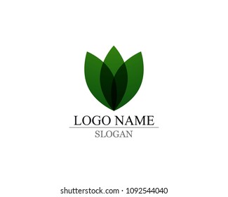 Vector leaves green nature logo and symbol