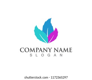 Vector leaves green nature logo and symbol