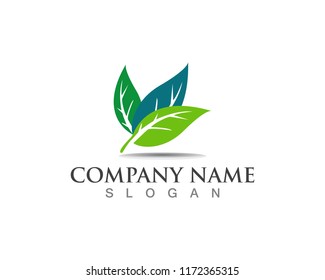 Vector leaves green nature logo and symbol