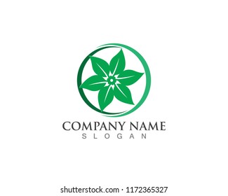 Vector leaves green nature logo and symbol