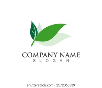 Vector leaves green nature logo and symbol