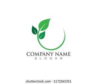 Vector leaves green nature logo and symbol