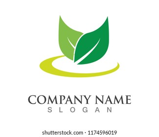 Vector leaves green nature logo symbol