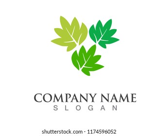 Vector leaves green nature logo symbol