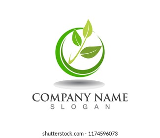 Vector leaves green nature logo symbol