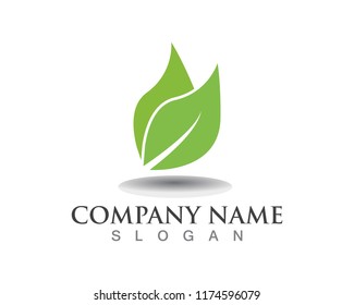 Vector leaves green nature logo symbol