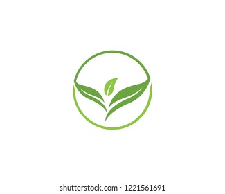 Vector leaves green nature logo and symbol