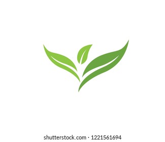 Vector leaves green nature logo and symbol