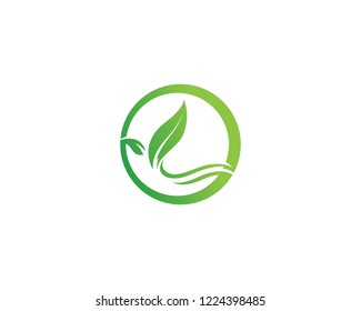 Vector leaves green nature logo and symbol