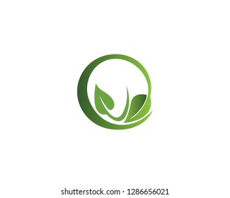 Vector leaves green nature logo template symbol