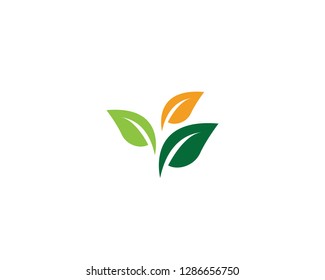 Vector leaves green nature logo template symbol