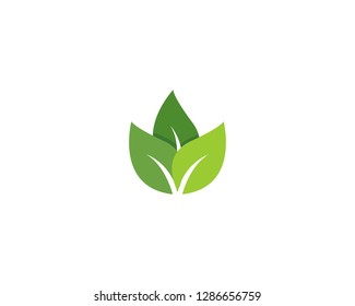 Vector leaves green nature logo template symbol