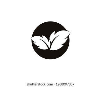 Vector leaves green nature logo and symbol
