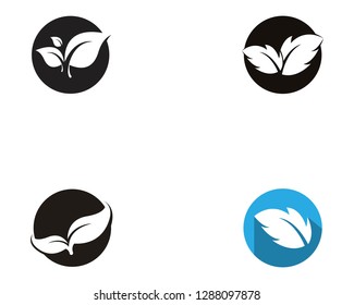 Vector leaves green nature logo and symbol